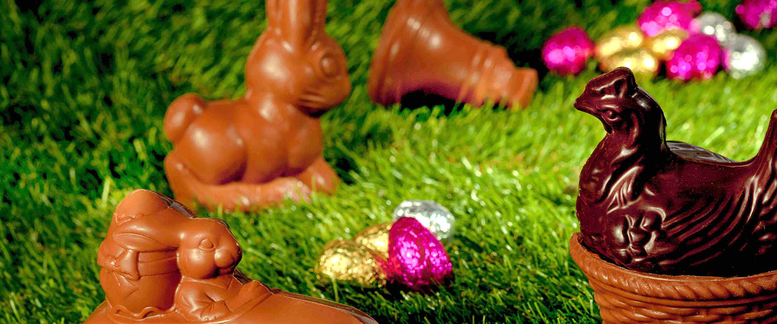 Chamalo - Chocolatier confiseur en Tunisie